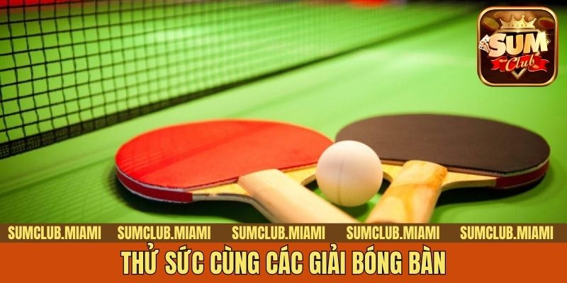 Thử sức cùng các giải bóng bàn